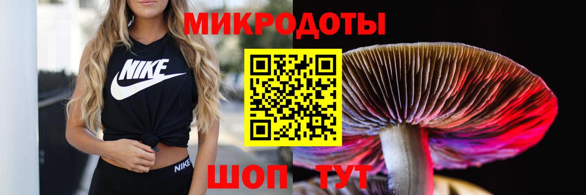 Псилоцибиновые грибы мухоморы  Псилоцибиновые грибы Psilocybe  Дивногорск  Вход с VPN 